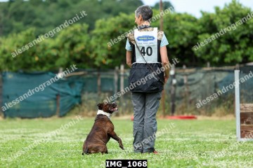 IMG_1068.jpg