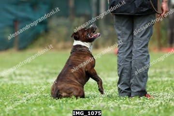 IMG_1075.jpg
