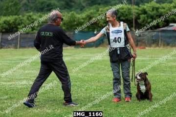 IMG_1160.jpg
