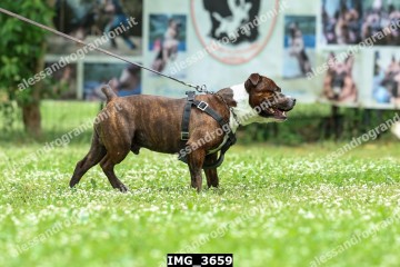 IMG_3659.jpg