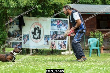IMG_3695.jpg