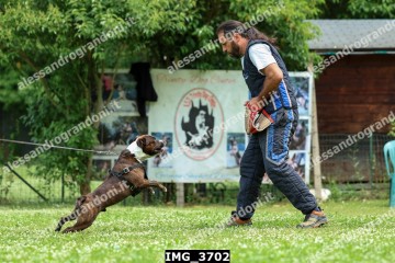 IMG_3702.jpg