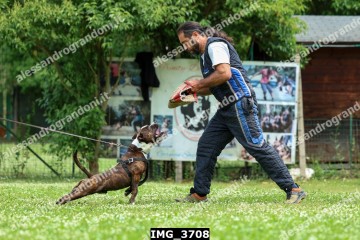 IMG_3708.jpg