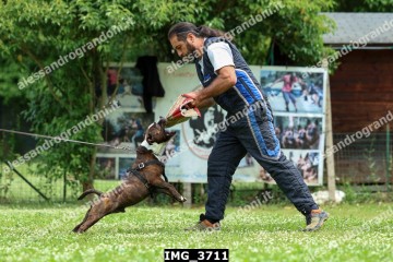 IMG_3711.jpg