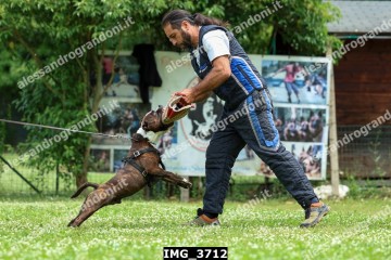 IMG_3712.jpg