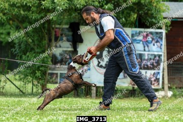 IMG_3713.jpg