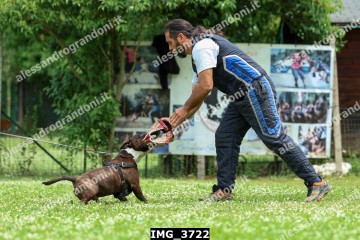 IMG_3722.jpg