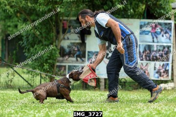 IMG_3727.jpg