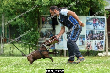IMG_3732.jpg