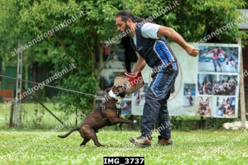 IMG_3737.jpg