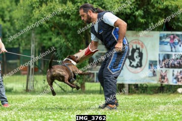 IMG_3762.jpg