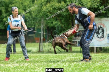 IMG_3763.jpg
