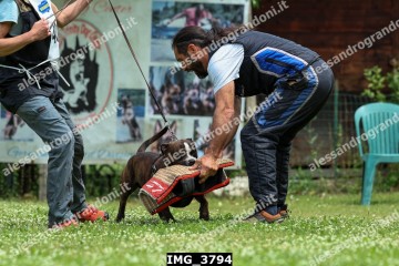 IMG_3794.jpg