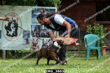 IMG_3803.jpg