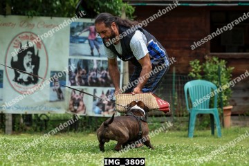 IMG_3809.jpg