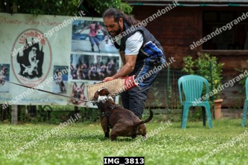 IMG_3813.jpg