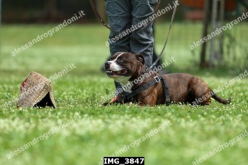 IMG_3847.jpg