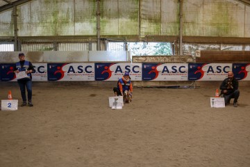 496A5940.jpg