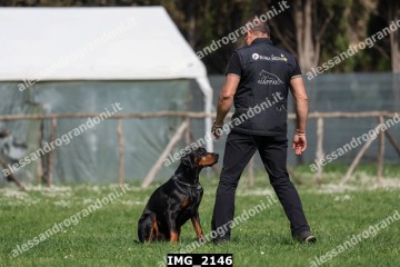 IMG_2146.jpg