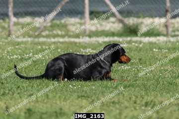 IMG_2163.jpg