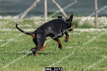 IMG_2172.jpg