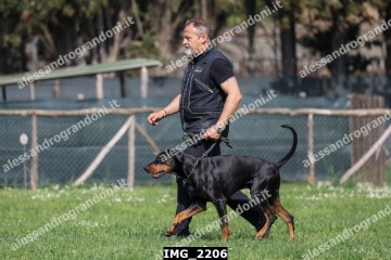 IMG_2206.jpg
