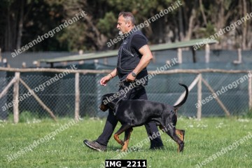 IMG_2211.jpg