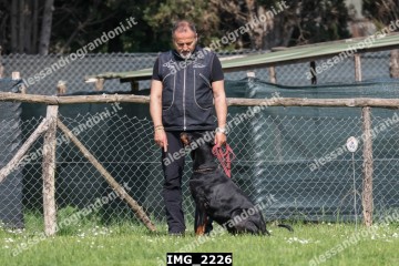 IMG_2226.jpg