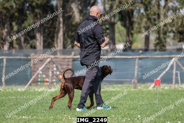IMG_2249.jpg
