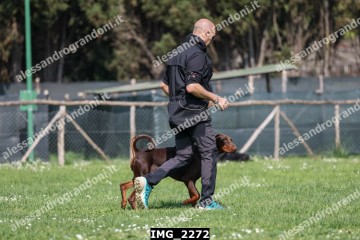 IMG_2272.jpg