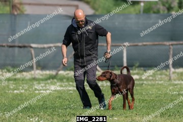 IMG_2281.jpg