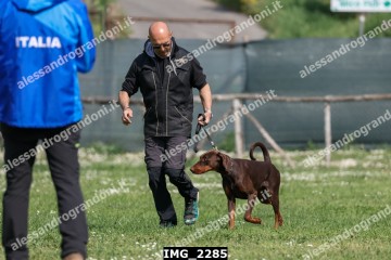 IMG_2285.jpg