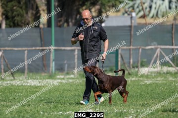 IMG_2295.jpg