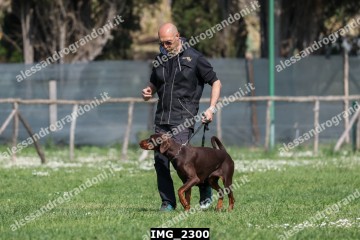 IMG_2300.jpg