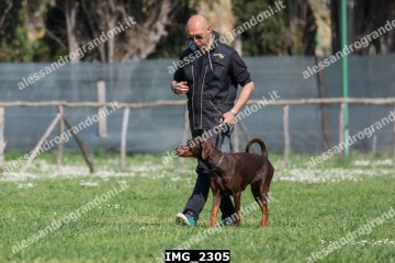 IMG_2305.jpg