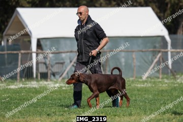 IMG_2319.jpg