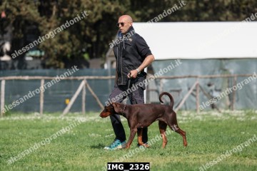 IMG_2326.jpg