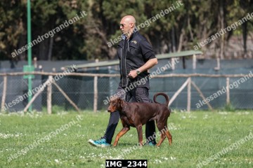 IMG_2344.jpg