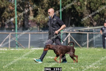 IMG_2352.jpg