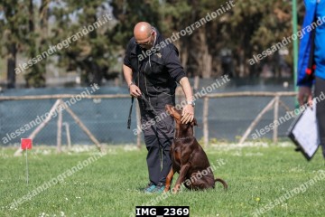 IMG_2369.jpg