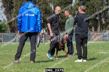 IMG_2375.jpg