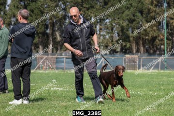 IMG_2385.jpg