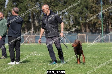 IMG_2389.jpg