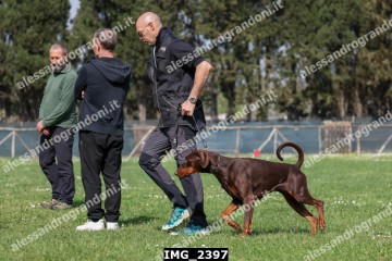 IMG_2397.jpg