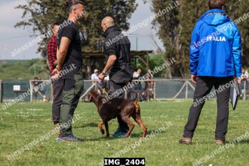 IMG_2404.jpg