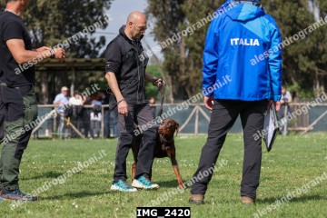 IMG_2420.jpg