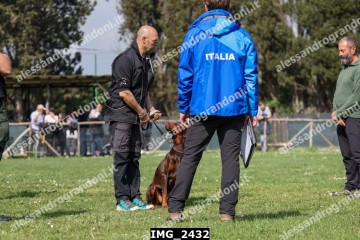 IMG_2432.jpg