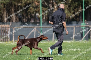 IMG_2445.jpg