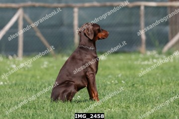 IMG_2458.jpg