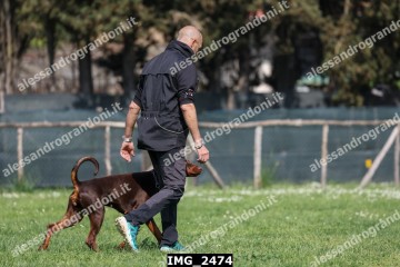 IMG_2474.jpg
